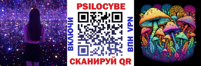 Псилоцибиновые грибы Cubensis  Иваново 