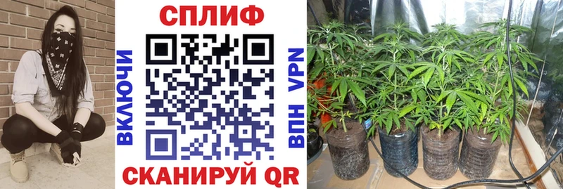 Шишки марихуана семена  купить закладку  Иваново 